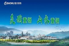 【重庆钢铁股份有限公司炼钢厂项